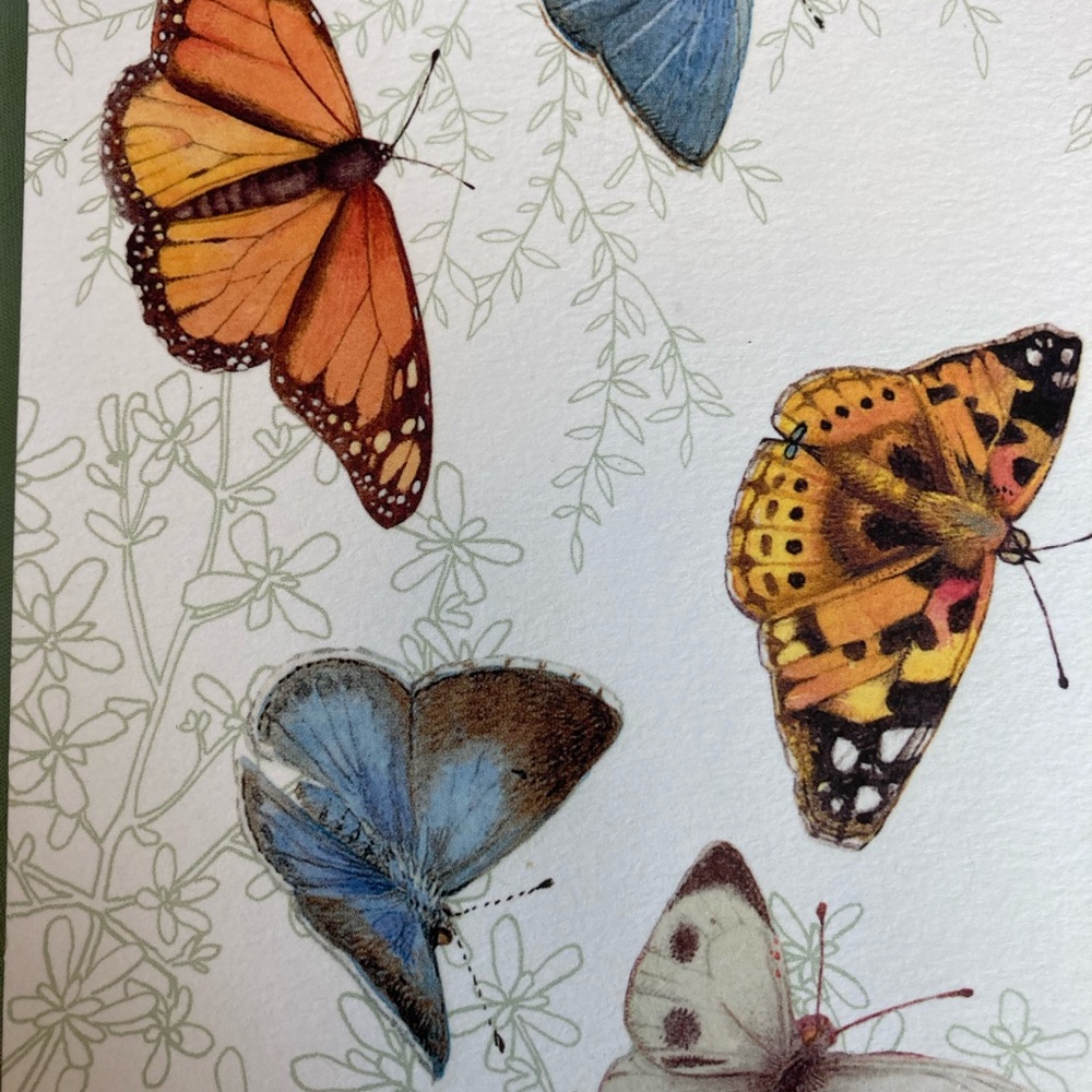 Meet your Posher, Joann